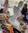 Boat party catering in Rovinj: beautiful sunset and istrian snacks for a romantic experience